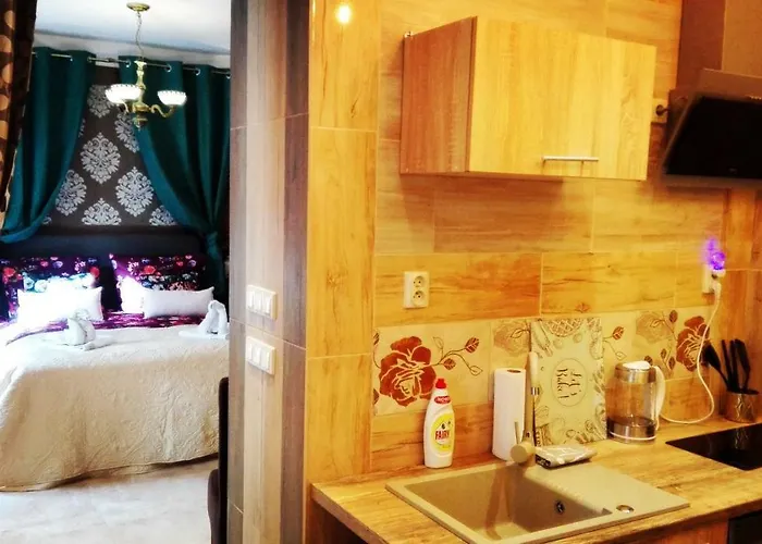 Central Apartments 公寓 波兹南