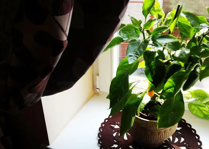 Central Apartments Poznan